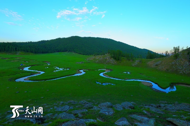 新疆哈巴河縣齊巴爾鄉(xiāng)夏牧場風(fēng)景如畫