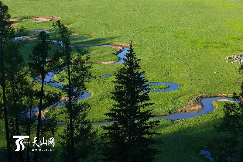 新疆哈巴河縣齊巴爾鄉(xiāng)夏牧場風(fēng)景如畫
