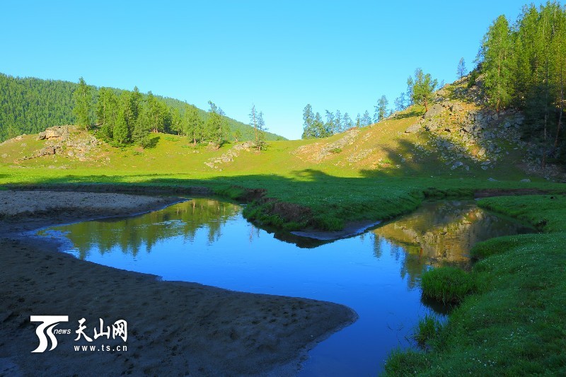 新疆哈巴河縣齊巴爾鄉夏牧場風景如畫