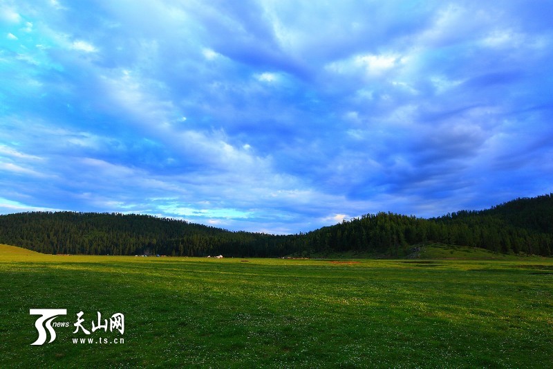 新疆哈巴河縣齊巴爾鄉夏牧場風景如畫