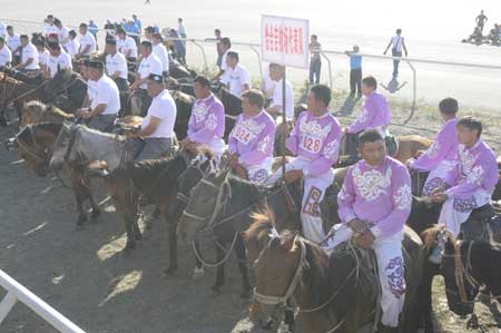 塔城市少數(shù)民族傳統(tǒng)體育運(yùn)動(dòng)會(huì)開幕