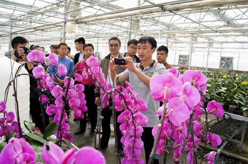 新疆兵團第六師共青團農(nóng)場旅游業(yè)大放光彩
