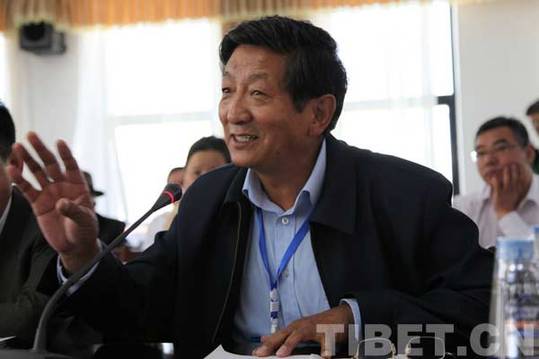 共論藏文化保護:海內(nèi)外專家學者思想碰撞在拉薩