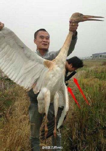 男子炫耀在西藏獵殺野生保護動物引眾怒