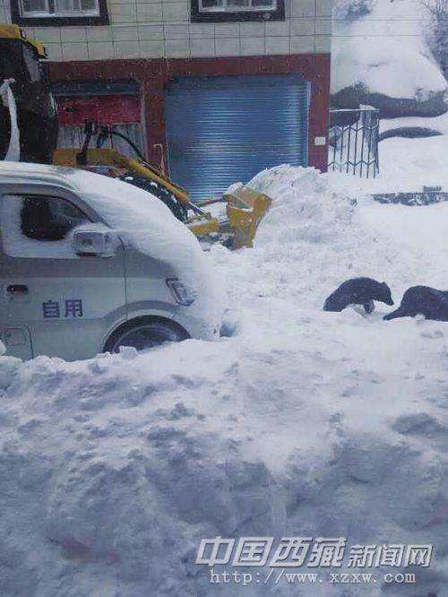 日喀則市強降雪預警升級為橙色
