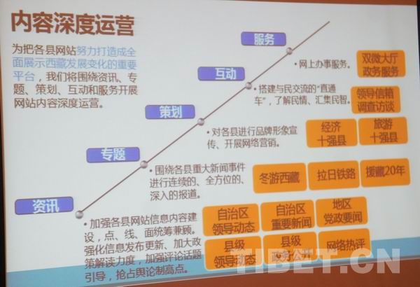 西藏74個縣級政府集體“觸網”