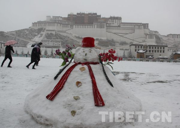 拉薩飄新年初雪 市民游客玩嗨了