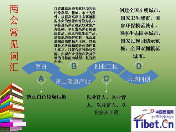 拉薩“兩會”小詞典：今年你應該了解的名詞
