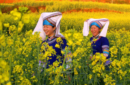 2010年云南羅平國際油菜花文化旅游節下月開幕