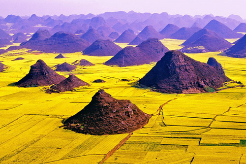 2010年云南羅平國際油菜花文化旅游節下月開幕