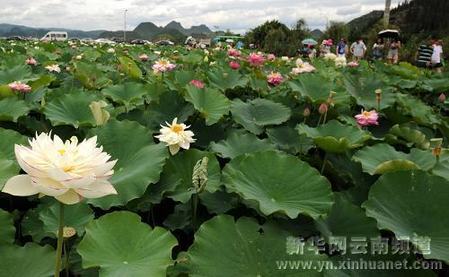 云南：湖光山色美 人在畫中游