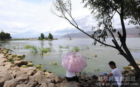 大理洱海水質提升 生態(tài)環(huán)境明顯改善