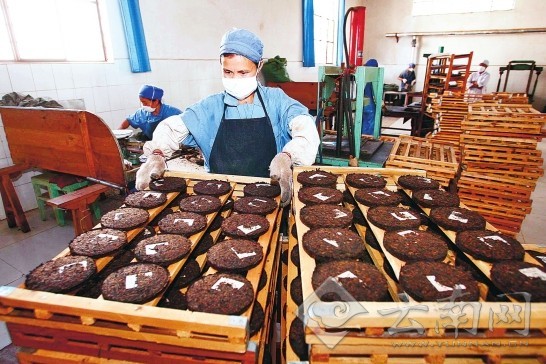 第七屆中國生物產業(yè)大會：凝聚智慧共謀發(fā)展新路