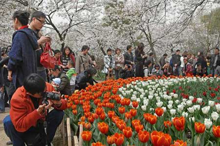 春到浙江不覺遲 踏青賞花正當(dāng)時(shí)