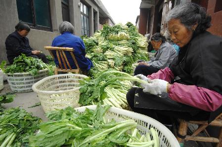 浙江溫嶺：蔬菜粗加工緩解滯銷(xiāo)難題
