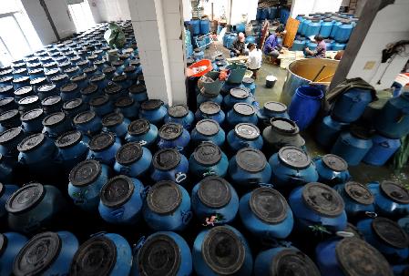 浙江溫嶺：蔬菜粗加工緩解滯銷難題