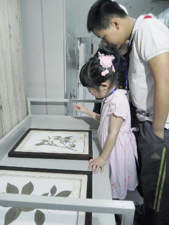浙江自然博物館舉行庫房開放日活動