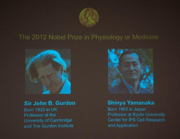 英、日科學家分享2012年諾貝爾生理學或醫(yī)學獎