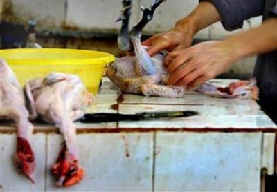 The Chinese capital has stepped up its efforts to fight bird flu by sending inspectors to farms, homes and migratory bird sanctuaries to enforce disease prevention controls.
