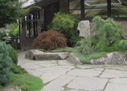 中國“養生術”