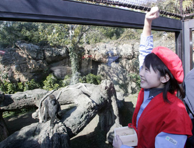 日本動物園立春前為猩猩撒豆祈福多育后代
