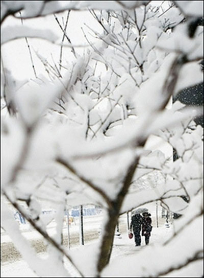 民生百態(tài)：美中西部暴風(fēng)雪下的快樂與痛苦