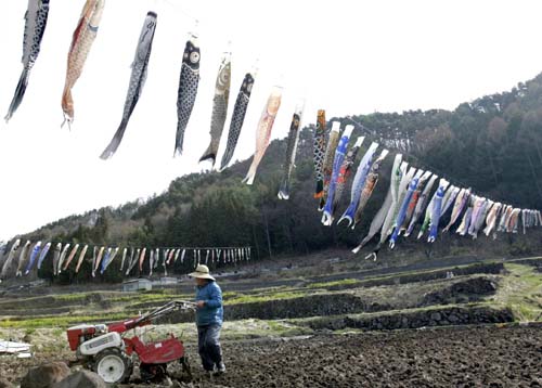 日本：鯉魚上天保佑平安