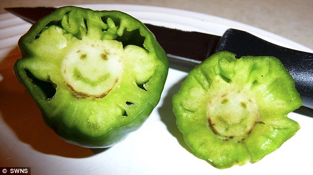 英國(guó)挖出怪狀蔬菜 手形胡蘿卜微笑胡椒