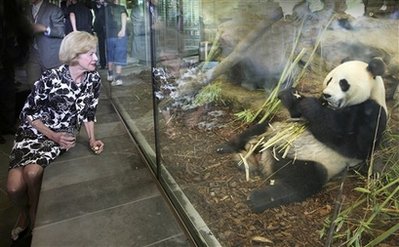 基因組圖譜:大熊貓不吃肉是因為嘗不到肉味
