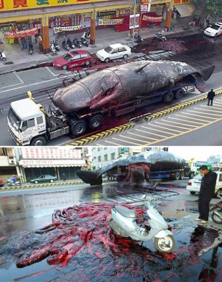 盤點八起詭異爆炸