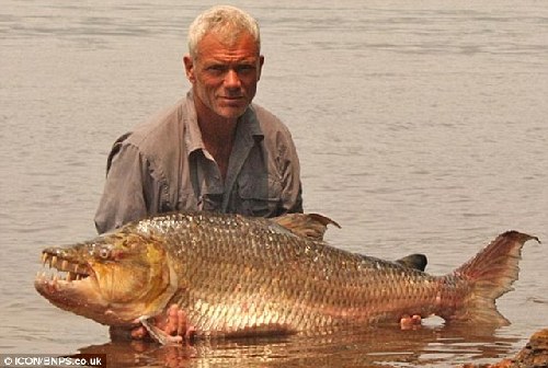 嚇你沒商量！英主持人指揮巨型食人魚拍“恐怖照”