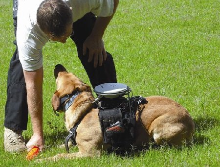美科學家開發新型導航器助愛犬回家