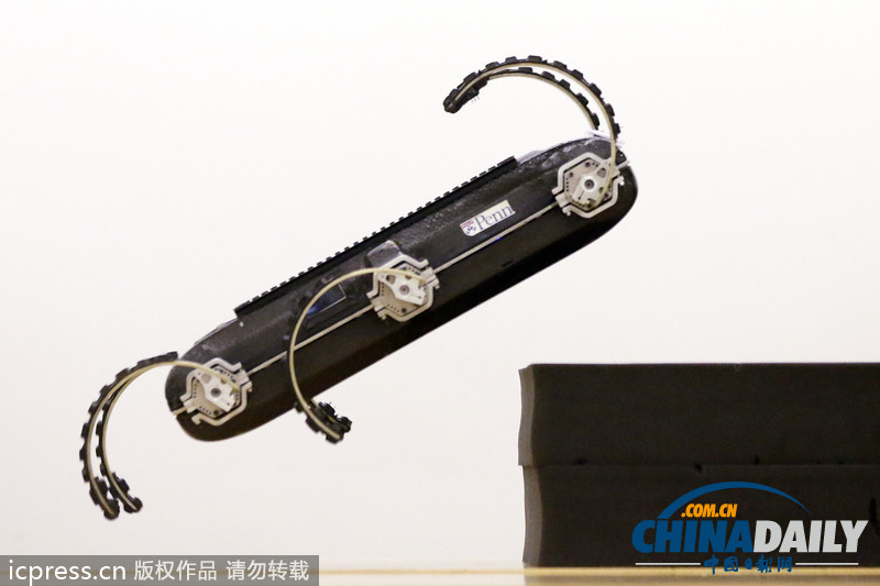 美國研發(fā)六足機器人 能跳躍爬墻空翻（圖）