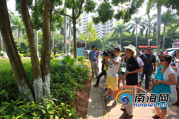 十年磨一劍 “五個龍華”鑄造?？诂F代化新城區