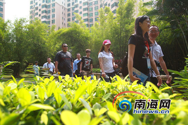 十年磨一劍 “五個龍華”鑄造?？诂F代化新城區