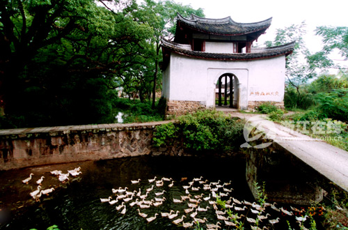 麗水堰頭村：千年古堰，傳承一段史