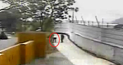 圖：盧武鉉生前最后錄像曝光 路過(guò)花壇拔除雜草