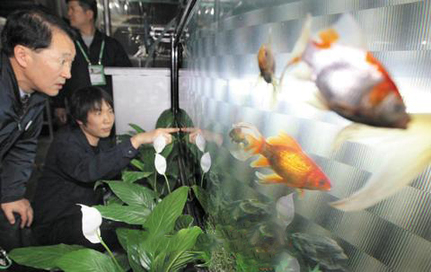 G20：金魚(yú)當(dāng)“警衛(wèi)”酒店搶商機(jī) 倡導(dǎo)單雙號(hào)限行