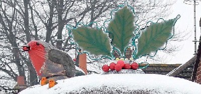 圣誕趣聞：針葉樹變“布丁” 腦血管圖現“馴鹿”