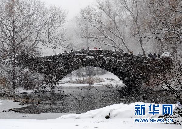 紐約遭暴風雪襲擊 部分地區能見度為零