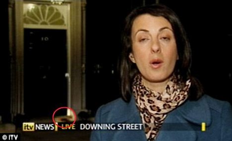 不堪老鼠侵擾 英國首相府欲招“公務(wù)貓”
