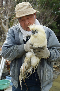 日本地震近一個月奇跡頻現 75歲老翁獲救、“雞堅強”生還