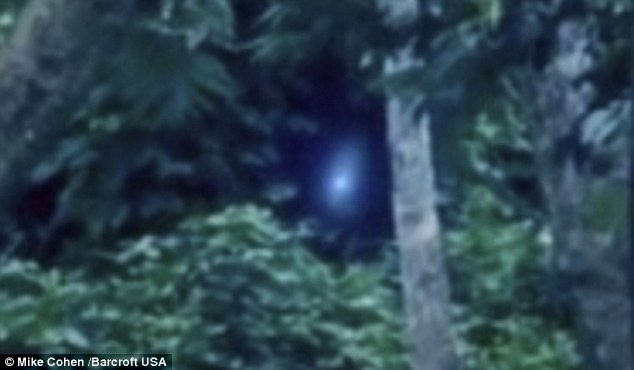 英國(guó)游客在巴西亞馬孫拍到不明光源和疑似外星人