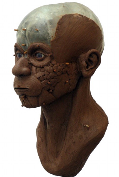 英國學(xué)生成功復(fù)原7500年前挪威少年相貌