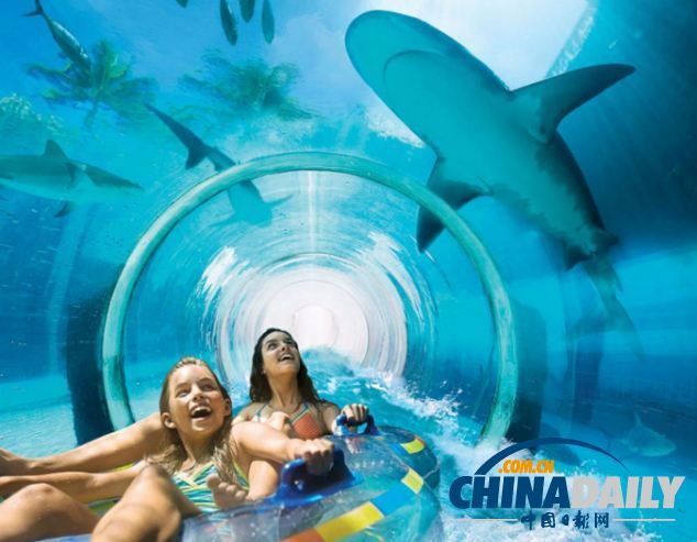 組圖：巴哈馬超酷水滑梯帶來風馳電掣體驗 與鯊魚“同游”