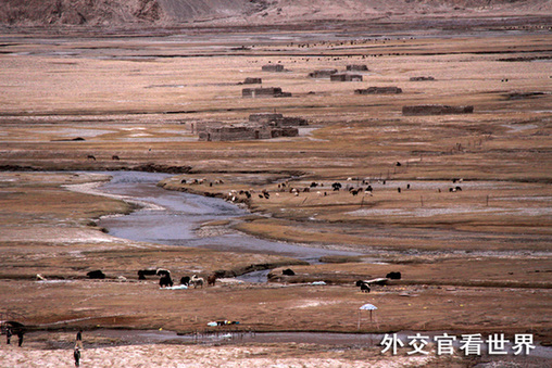 神秘的帕米爾高原組圖－1高原峽谷、牛羊成群（優(yōu)秀獎(jiǎng)）