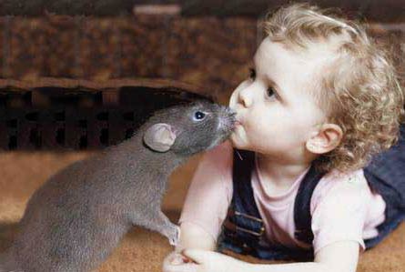 動物搞怪圖