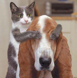 親愛的，猜猜我是誰？
