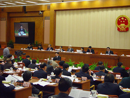 2005年:人大釋法