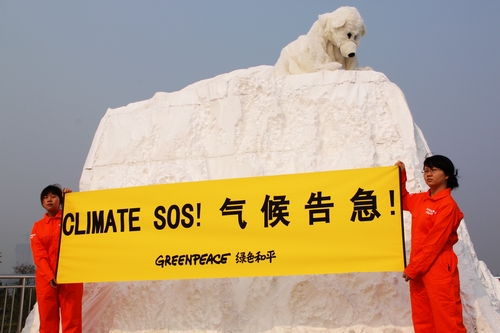 無家可歸的北極熊：氣候危機(jī)分秒間惡化